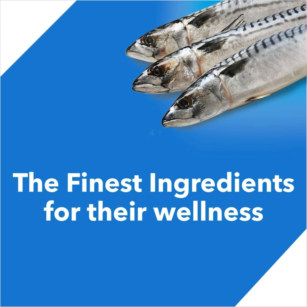 Drools Ocean Fish Kitten Dryfood - Image 8