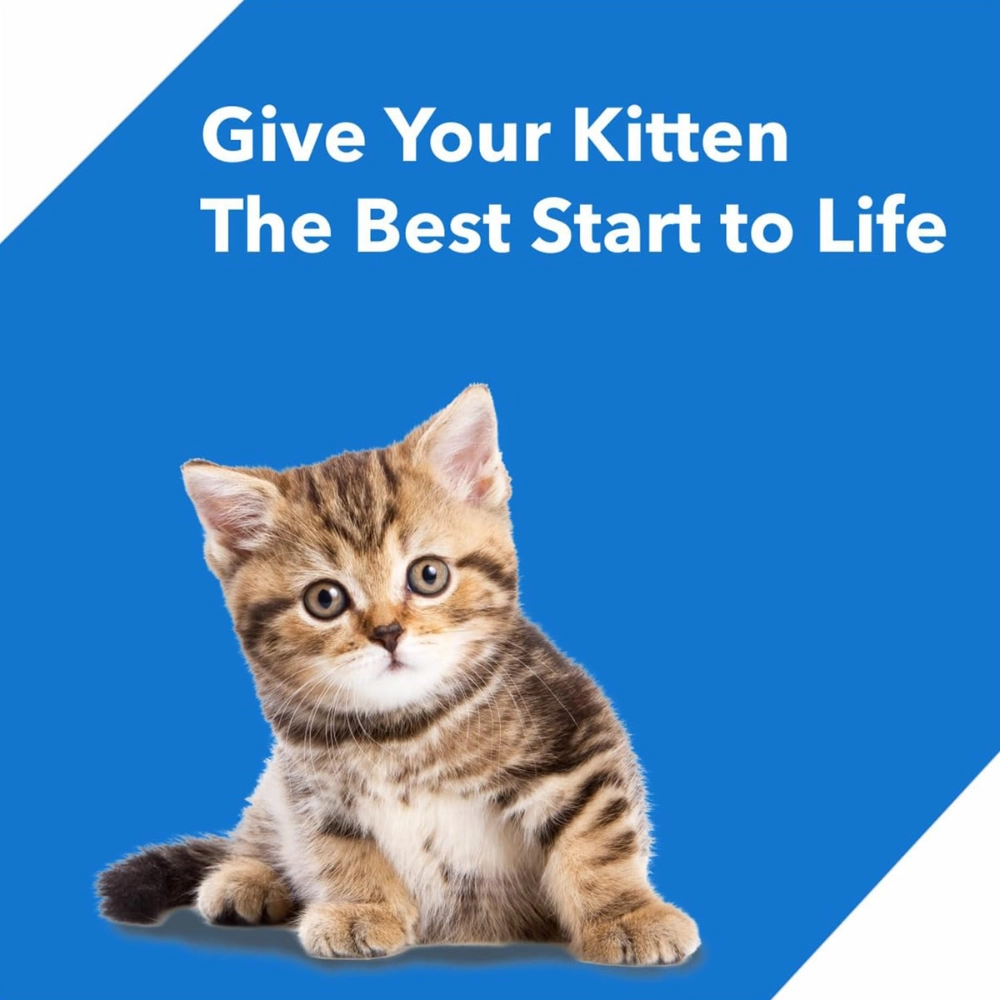 Drools Ocean Fish Kitten Dryfood - Image 9